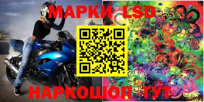 jwh Кингисепп