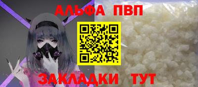 jwh Кингисепп