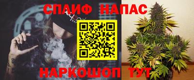 jwh Кингисепп