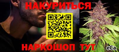 прущие крисы Кимры
