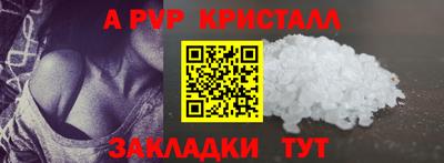 jwh Кингисепп